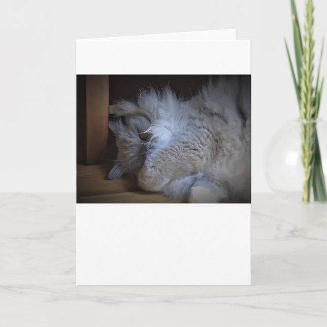 Slow Days, card (Front)