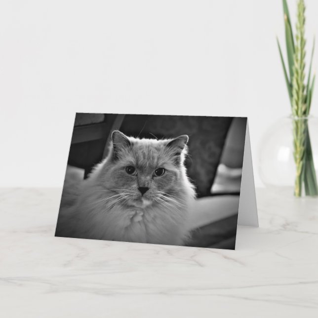 Slow Days, card (Front)