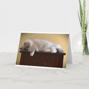 Slow Days, card
