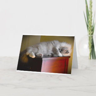 Slow Days, card