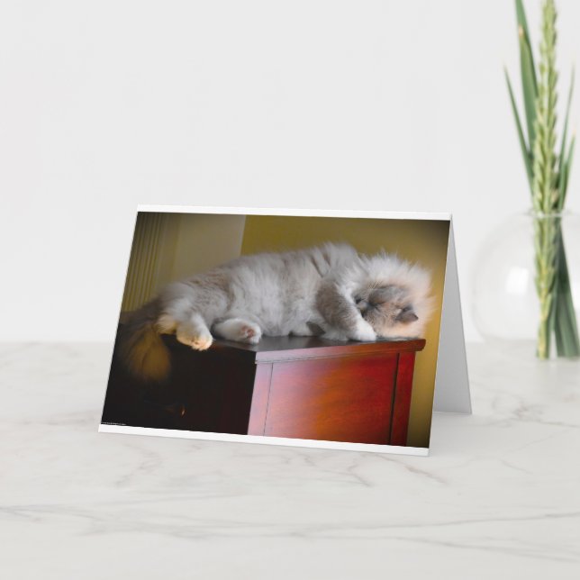 Slow Days, card (Front)
