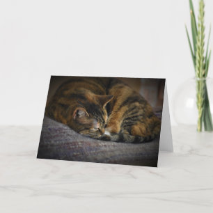 Slow Days, card