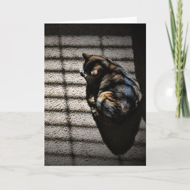 Slow Days, card (Front)