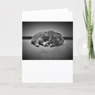 Slow Days, card