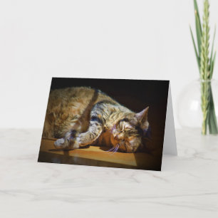 Slow Days, card