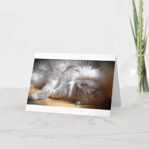 Slow Days, card