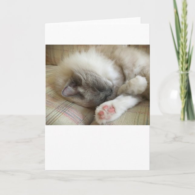 Slow Days, card (Front)