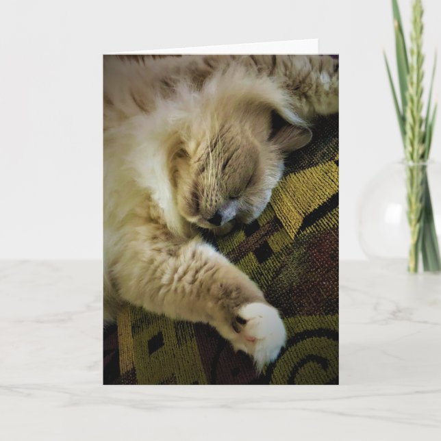 Slow Days, card (Front)