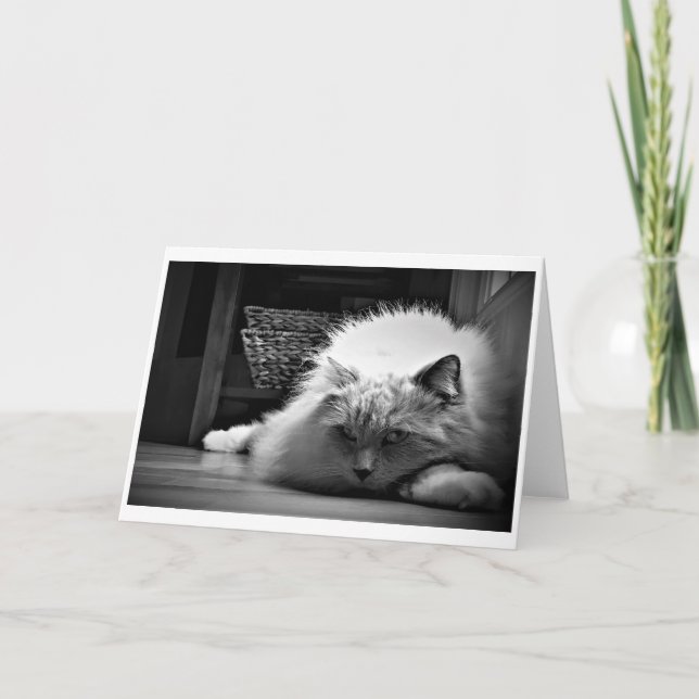 Slow Days, card (Front)