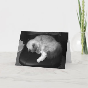 Slow Days, card