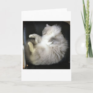 Slow Days, card