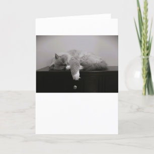 Slow Days, card