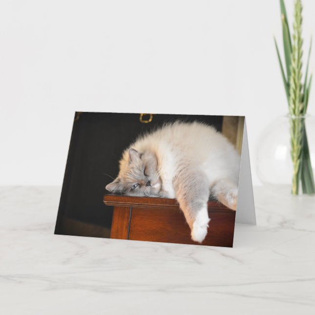 Slow Days, card (Front)