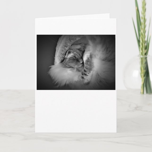 Slow Days, card (Front)