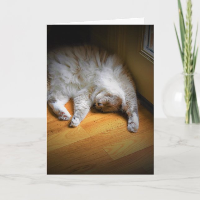 Slow Days, card (Front)