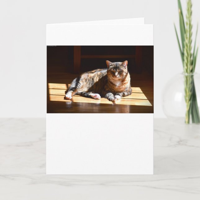 Slow Days, card (Front)
