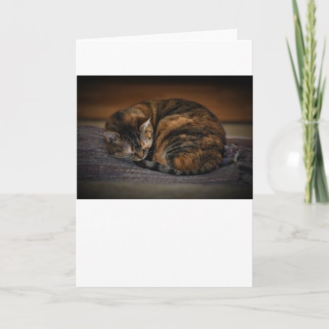 Slow Days, card (Front)