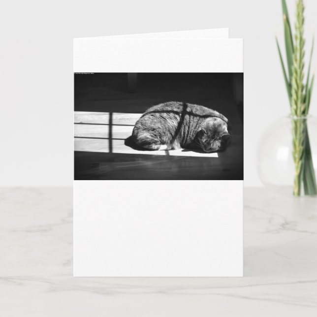 Slow Days, card (Front)