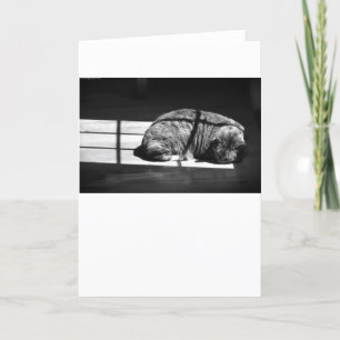 Slow Days, card