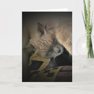 Slow Days, card