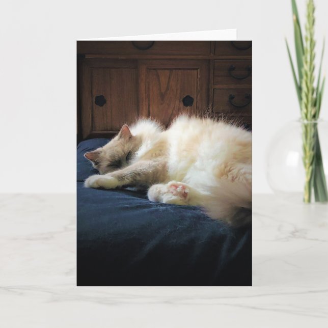 Slow Days, card (Front)