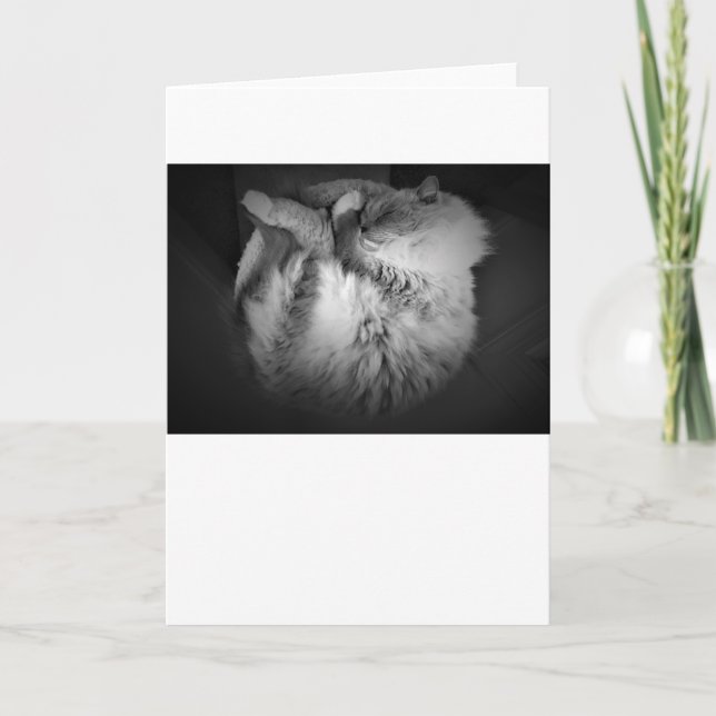 Slow Days, card (Front)