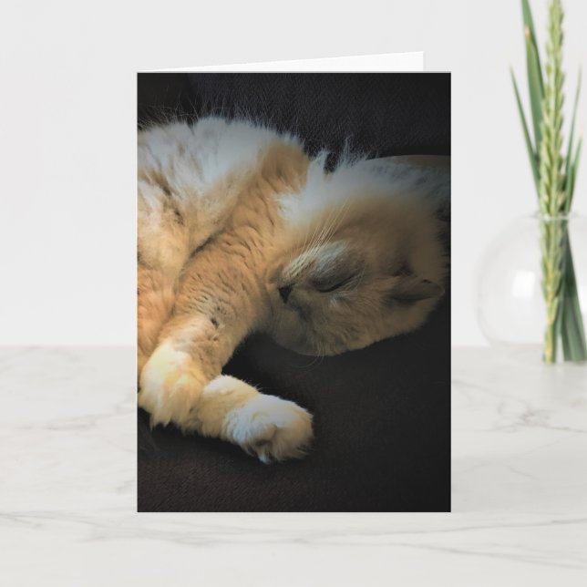 Slow Days, card (Front)
