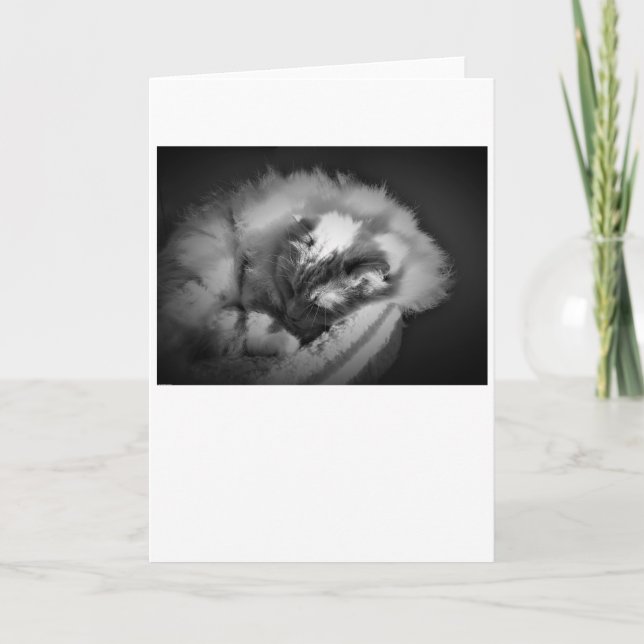Slow Days, card (Front)