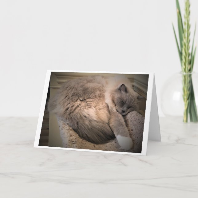 Slow Days, card (Front)