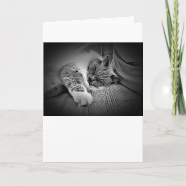 Slow Days, card (Front)