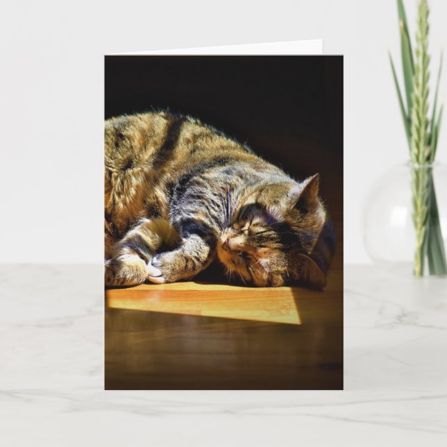 Slow Days, card (Front)