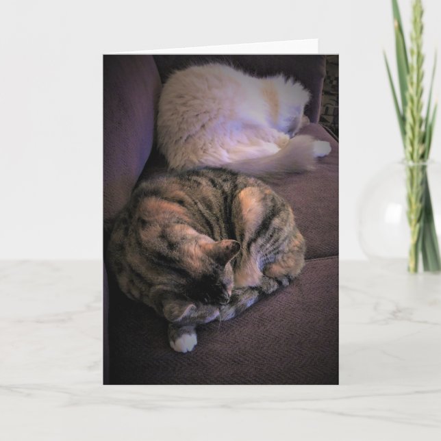 Slow Days, card (Front)