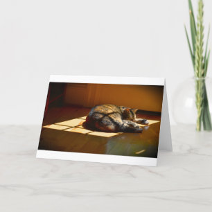 Slow Days, card