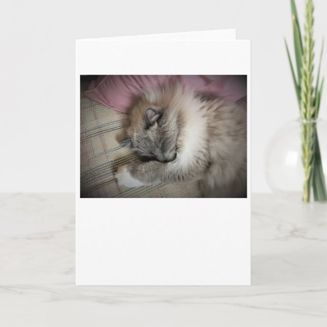 Slow Days, card (Front)