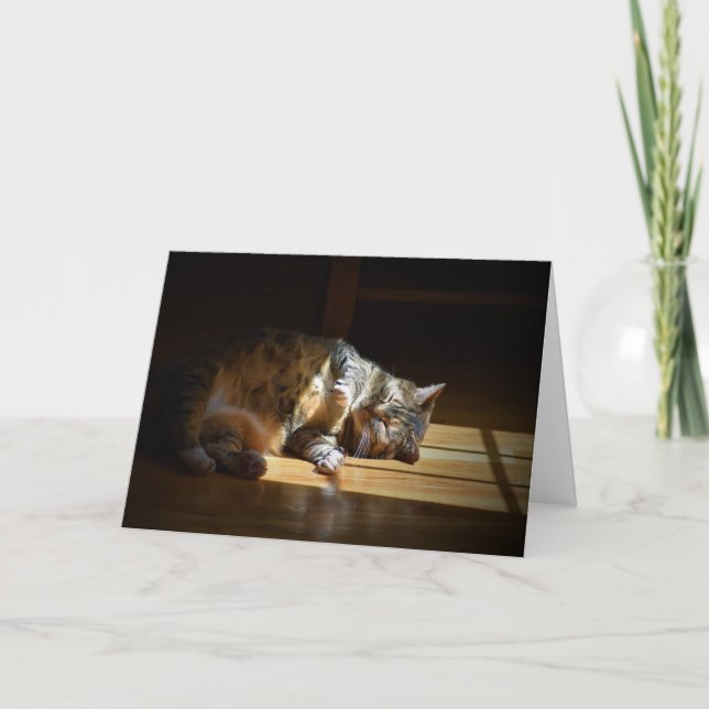 Slow Days, card (Front)