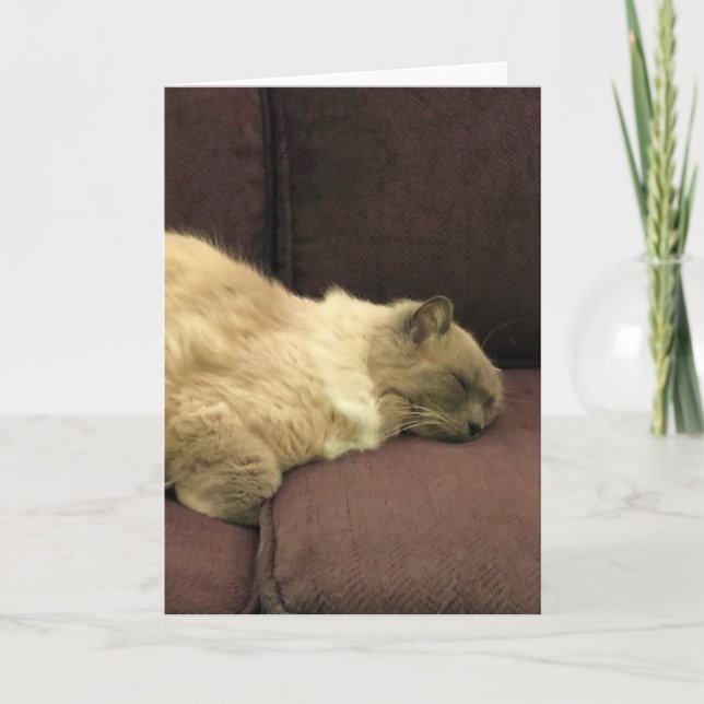 Slow Days, card (Front)