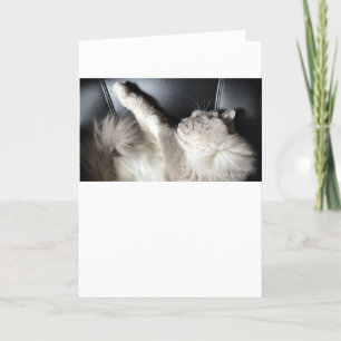 Slow Days, card