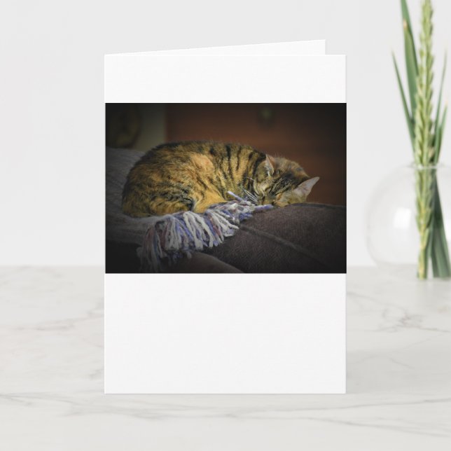 Slow Days, card (Front)