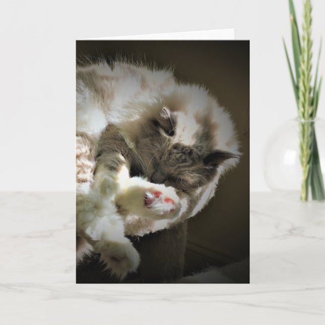 Slow Days, card (Front)