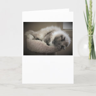 Slow Days, card