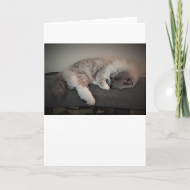 Slow Days, card (Front)