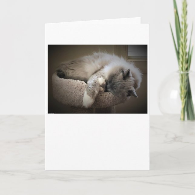 Slow Days, card (Front)