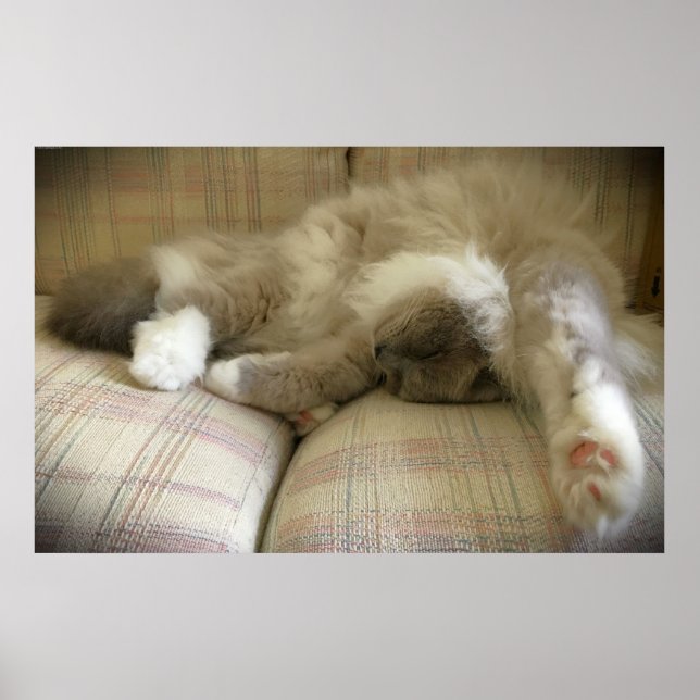 Slow Days, Poster (Front)