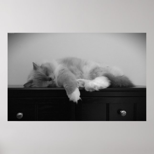 Slow Days, Poster (Front)