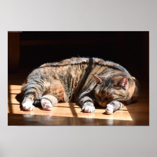 Slow Days, Poster (Front)