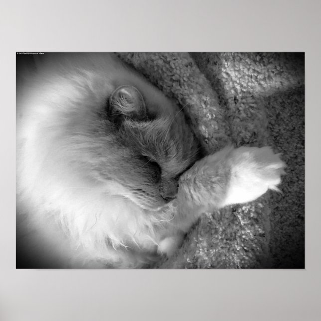 Slow Days, Poster (Front)