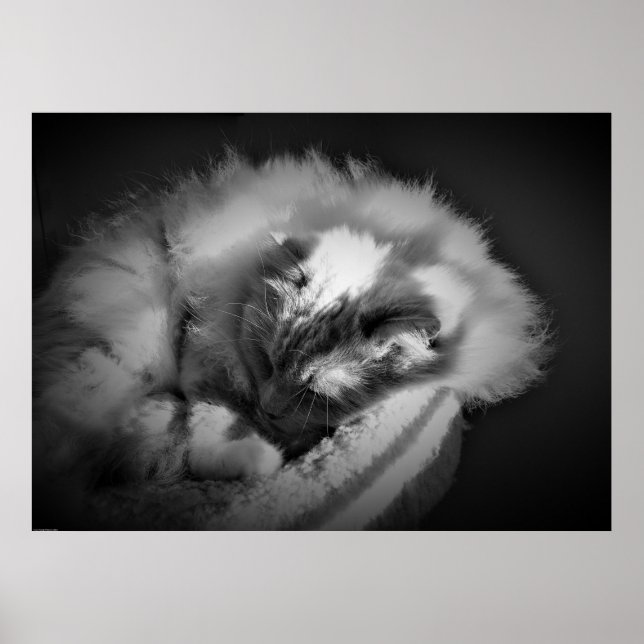 Slow Days, Poster (Front)