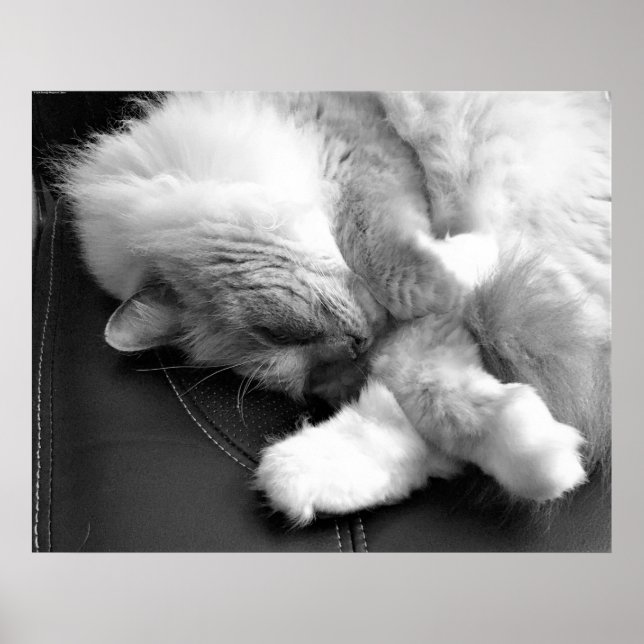 Slow Days, Poster (Front)