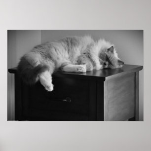 Slow Days, Poster