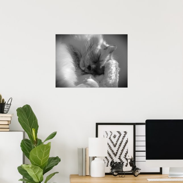 Slow Days, Poster (Home Office)